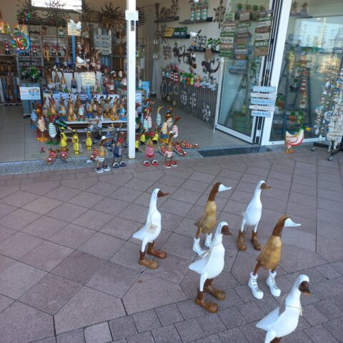 Enten